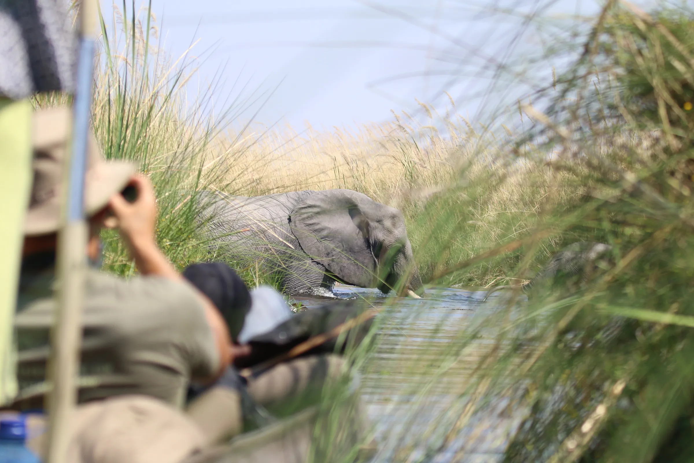 Sunway Botswana Okavango Jez Hollinshead-1101131
