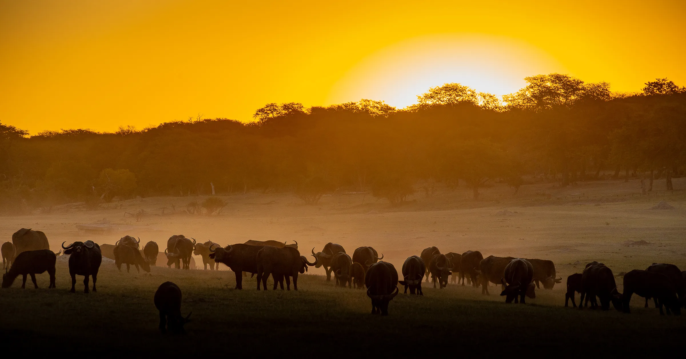 Sunway Zimbabwe Hwange NP Bruce Taylor-0779