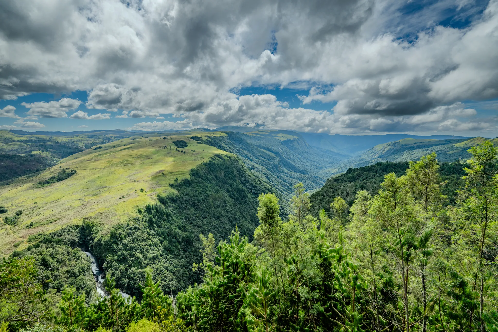 Sunway Zimbabwe Nyanga Pungwe Valley Bruce Taylor-