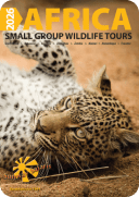download-brochure