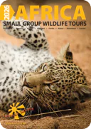download-brochure
