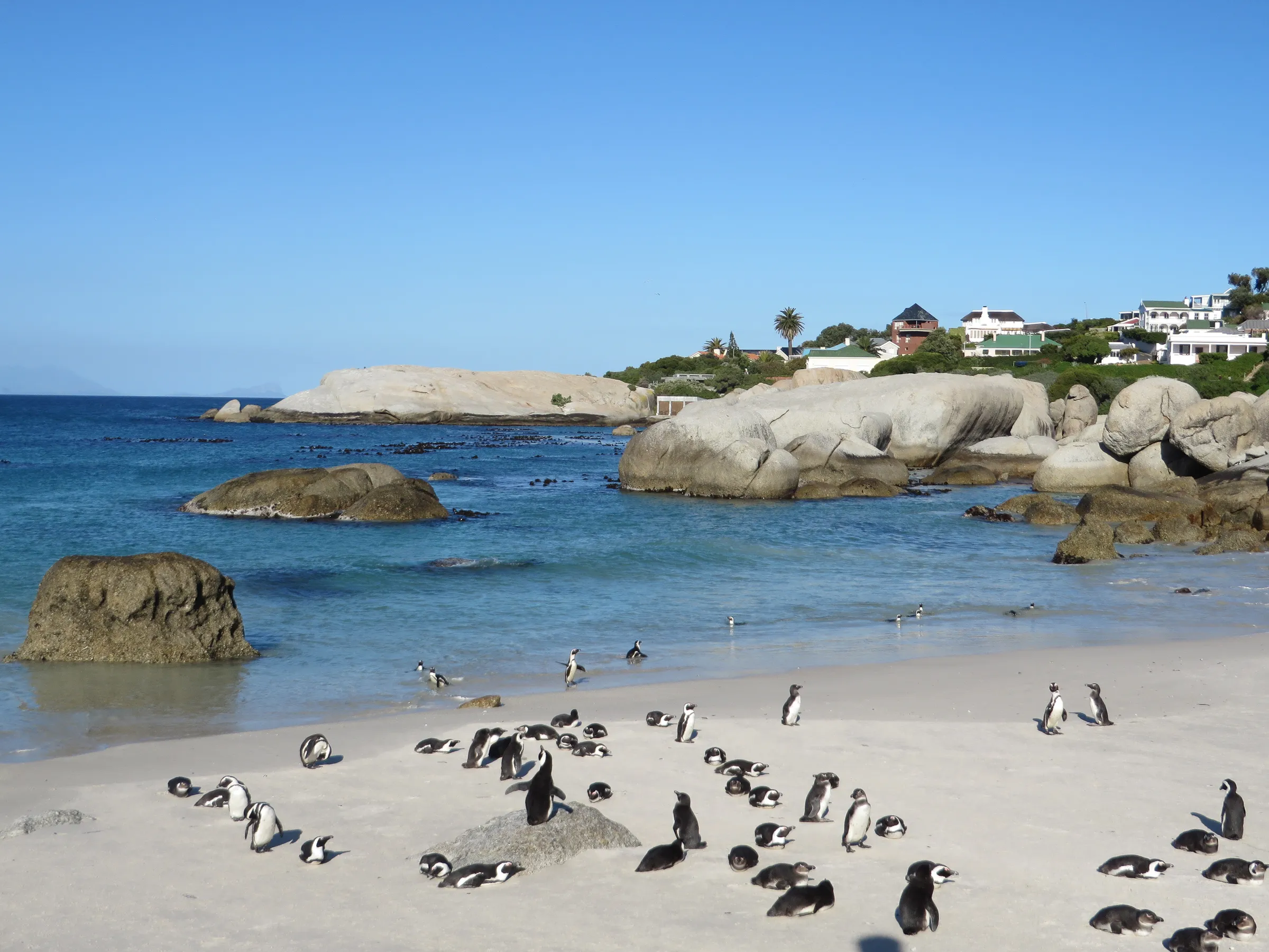Sunway South Africa Boulders Matthew O_Brien-