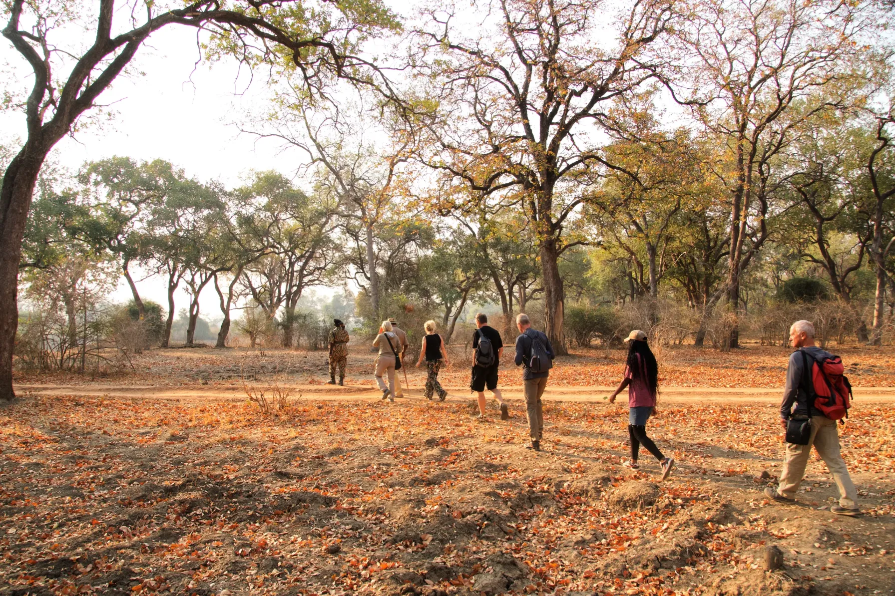 Sunway-Zambia-South-Luangwa-walk-Ole-Gedlich-1-scaled 2