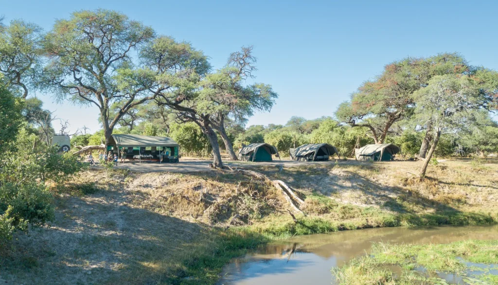 Sunway Botswana Mababe Private Reserve Bruce Taylor-0082