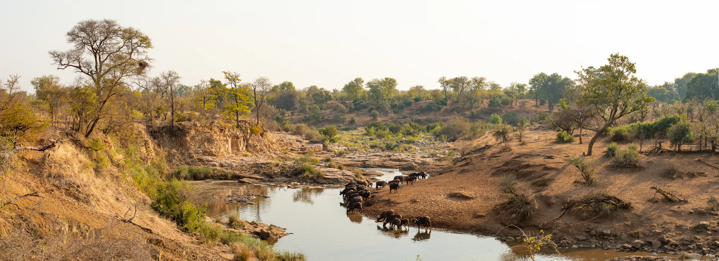 Sunway South Africa Kruger Bruce Taylor-7463-Pano