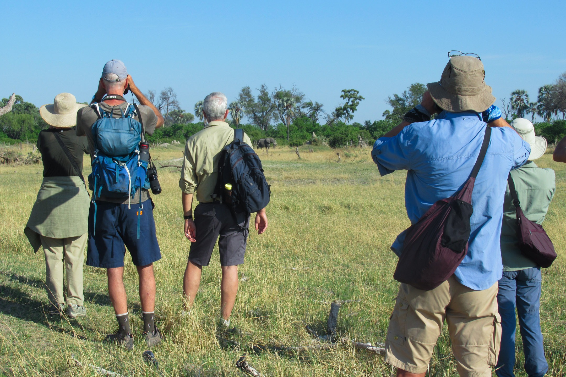 Sunway Botswana Delta Willem Rossouw (15)