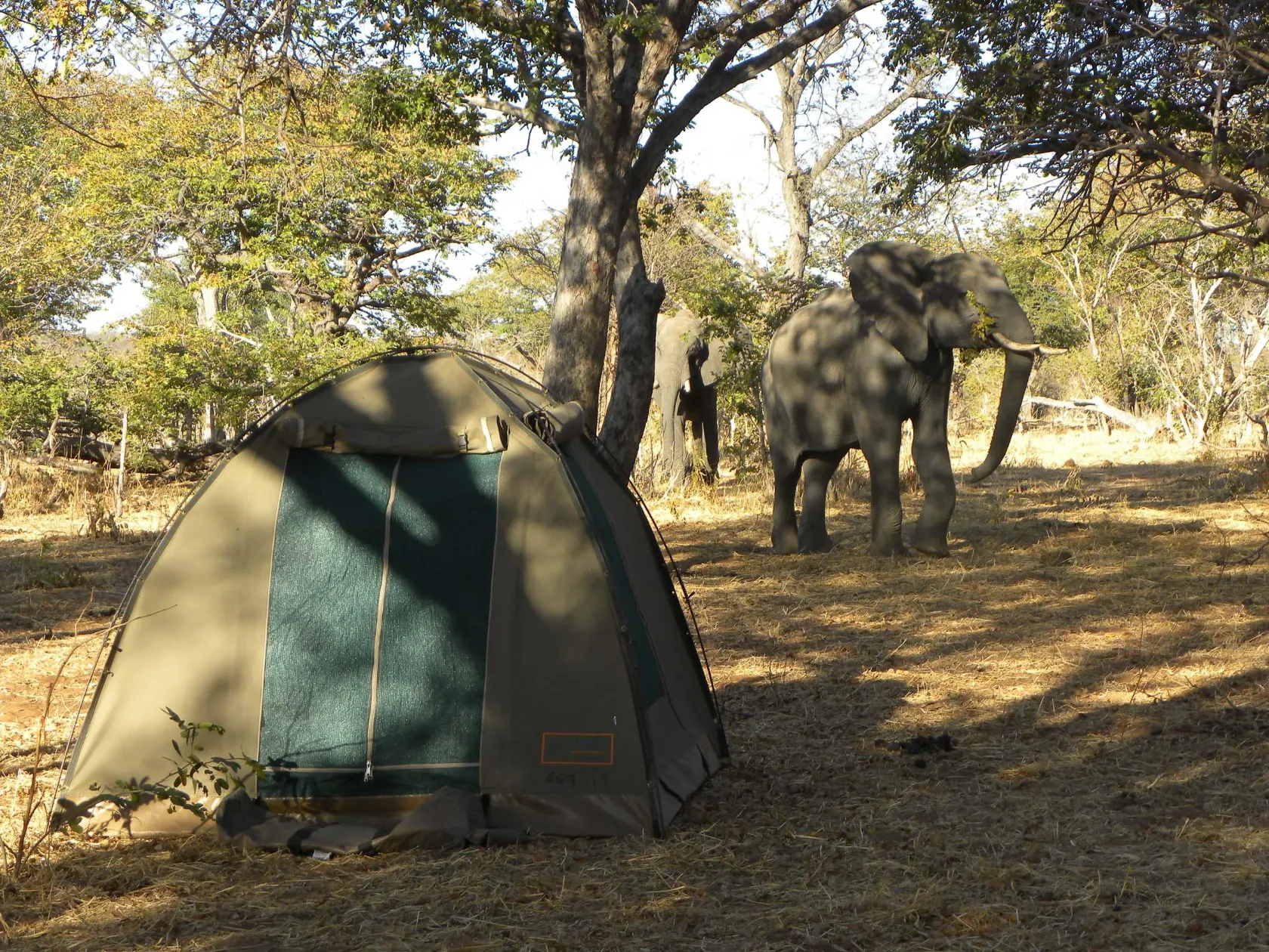 Sunway-Botswana-Moremi-campsite-Andre-Lindsay-8134 2