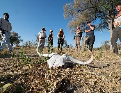 Sunway-Botswana-Okavango-Delta-Bruce-Taylor-3781-1