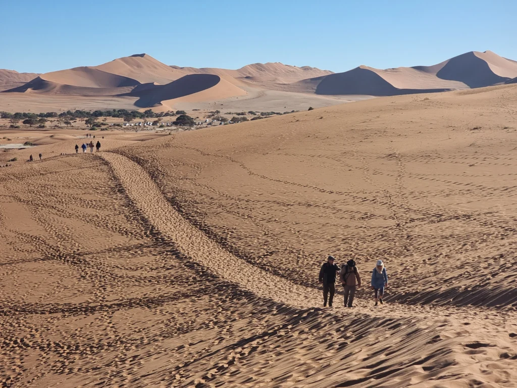 Tourists hike down a sandy trail on a massive desert sand dune with rolling orange dunes and a clear blue sky in Namibia.