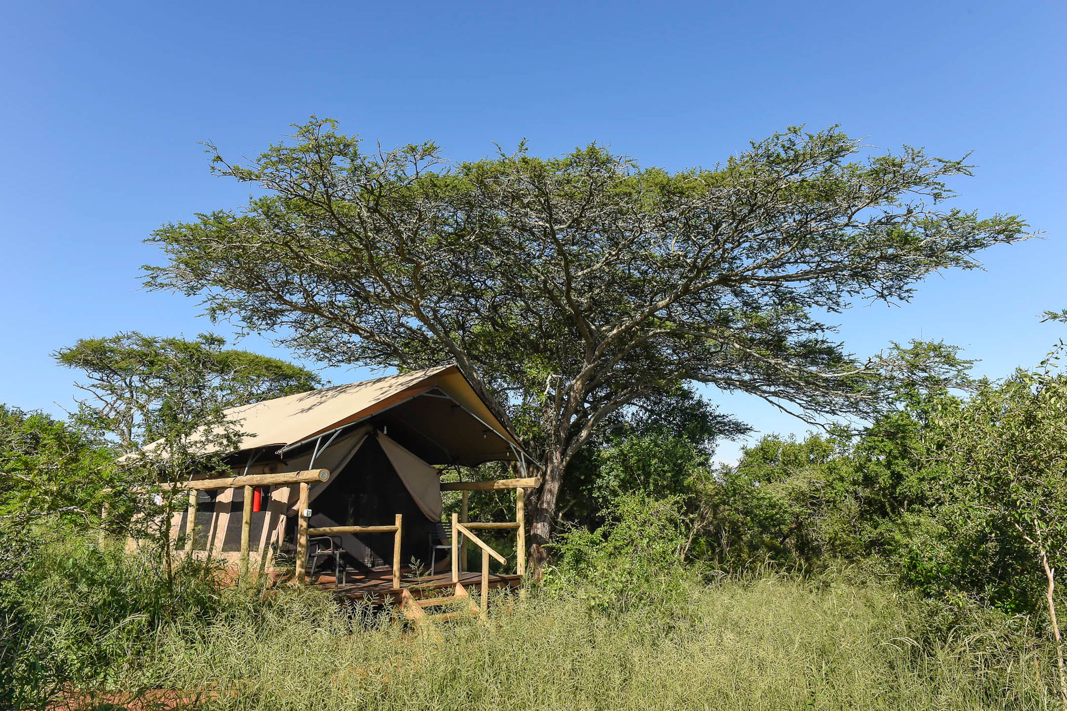 Zululand Lodge South Africa Hluhluwe Bruce Taylor-4831