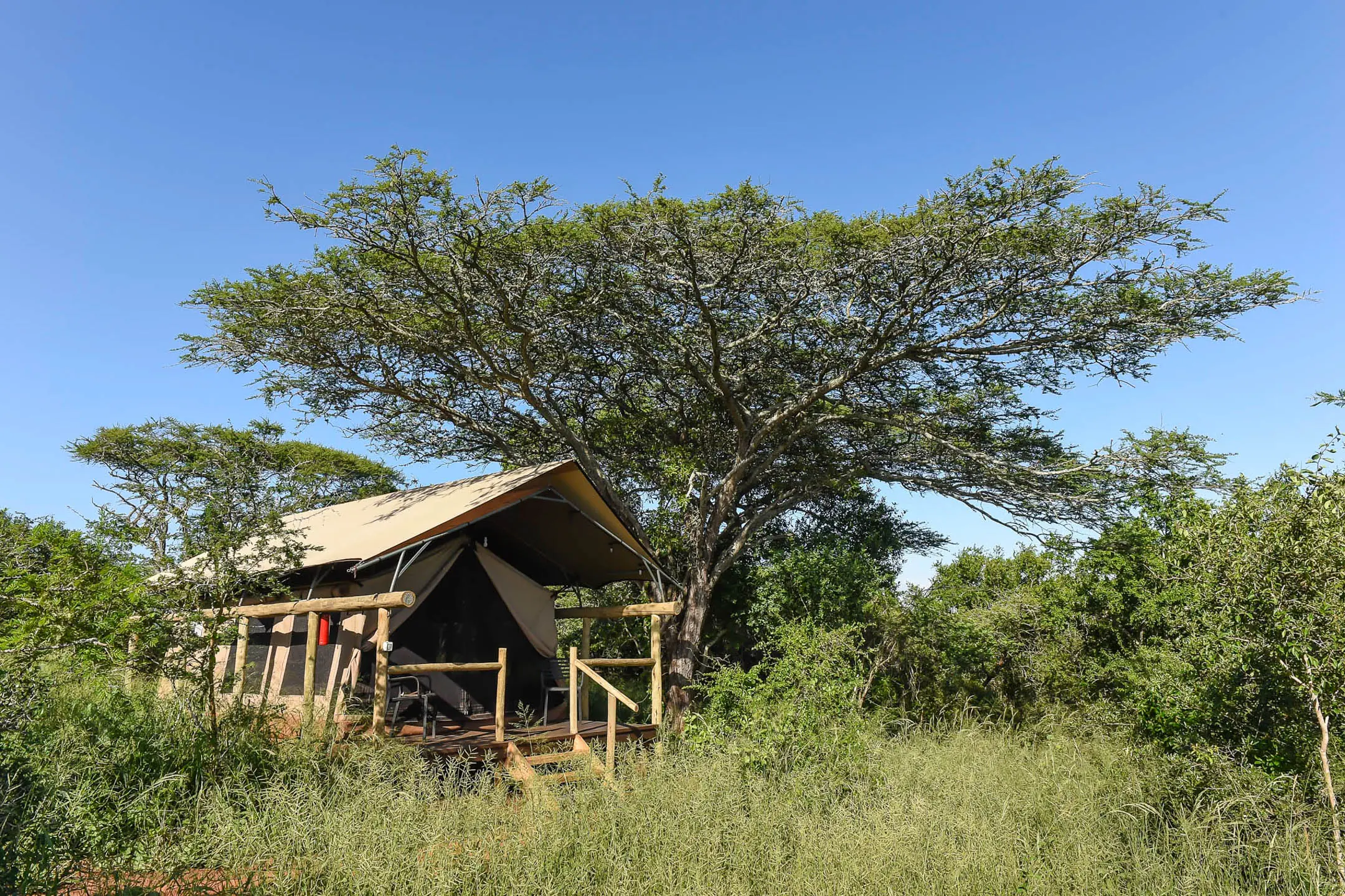 Zululand Lodge South Africa Hluhluwe Bruce Taylor-4831